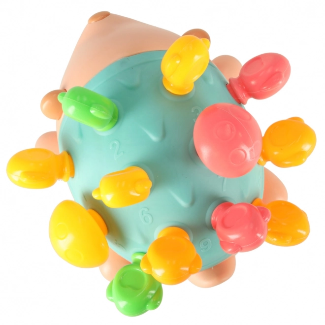 Jeżino educativo montessori con spine colorate