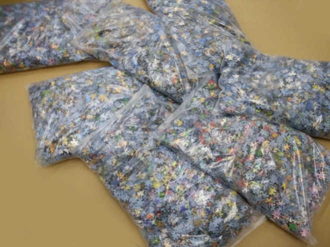 Puzzle EDUCA Intorno al mondo 42000 pezzi