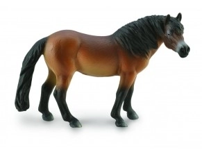 Pony Exmoor Collezione