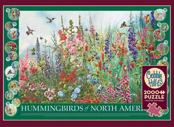 Puzzle Colibrì del Nord America 2000 Pezzi