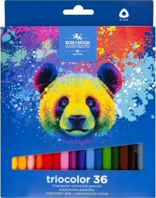 Pastelli Triangolari Koh-i-noor Triocolor 36 Pezzi con Orso