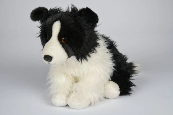 Border Collie di peluche 35 cm