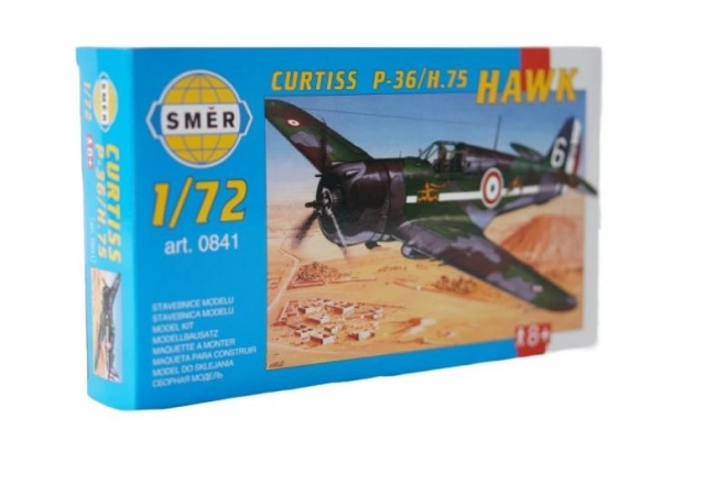 Modello Aereo Curtiss Hawk