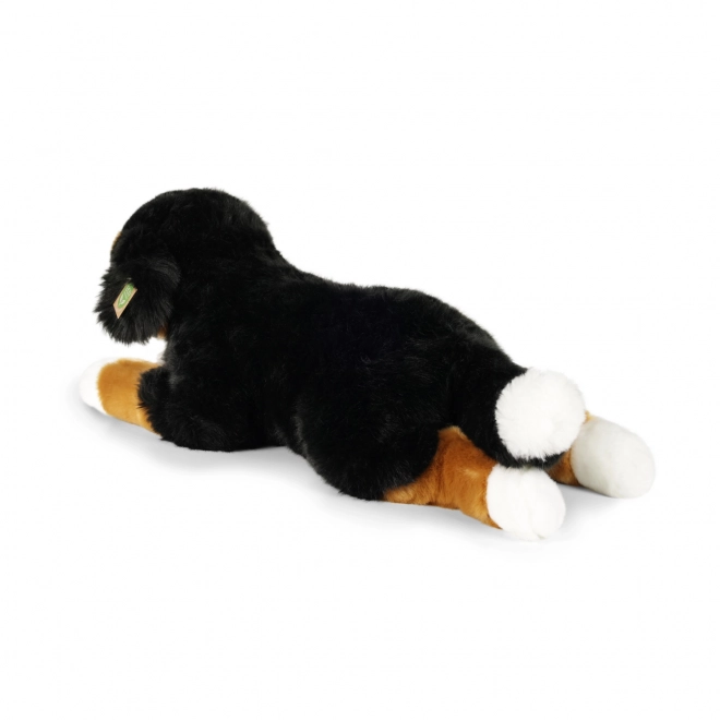 Grande peluche cane bovaro del bernese 61 cm eco-friendly