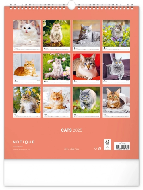 Calendario da parete Gatti 2025