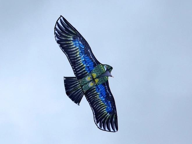 Grande aquilone leggero aquila - Realistico uccello predatore