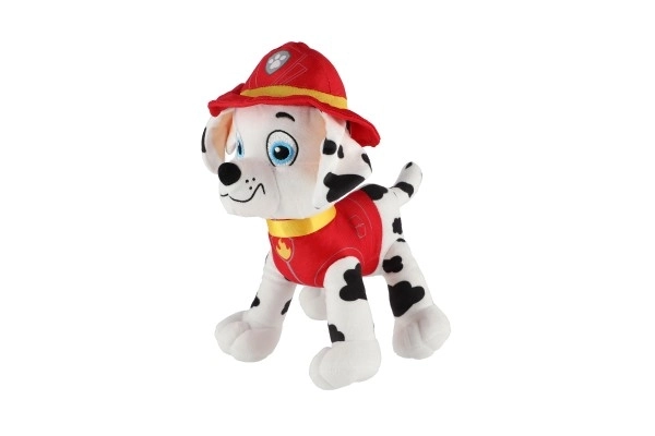Figura della Paw Patrol Personaggio di peluche 6 tipi