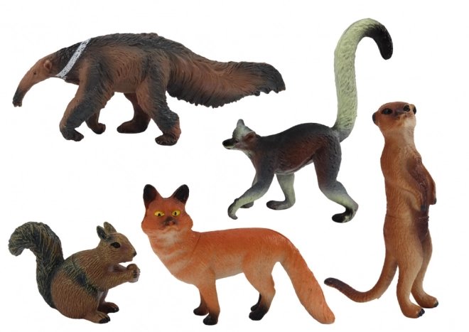 Set di 5 Animali Wiewióra Suricata Formichiere Volpe Lemure