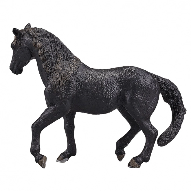 Cavallo Andaluso Nero Mojo