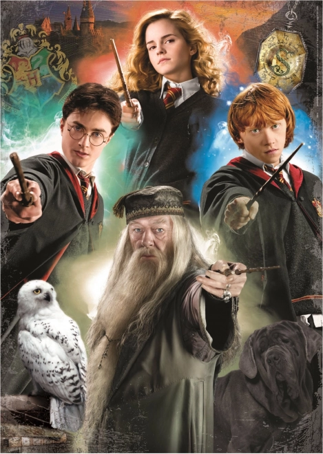 Puzzle Harry Potter 500 pezzi