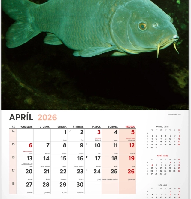 Calendario da parete di pesca 2026