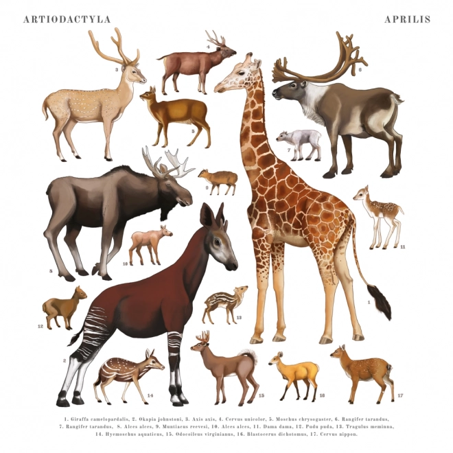 Calendario Notique Animalium 2025