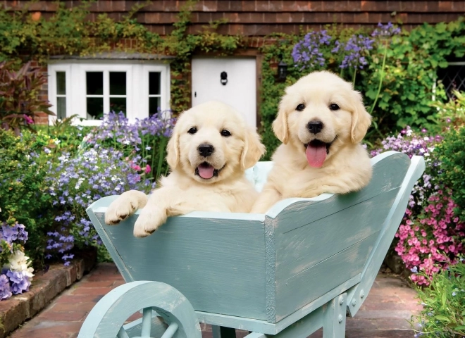 Puzzle Cuccioli nel Carrello 260 Pezzi