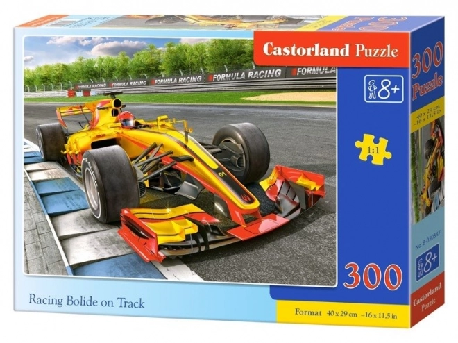 Puzzle 300 pezzi auto da corsa su pista