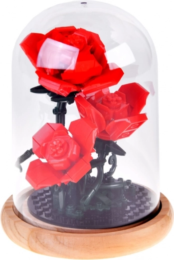 Cupola stabile con base in legno