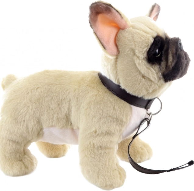 Bulldog Francese di Peluche con Guinzaglio 26 cm Eco-compatibile
