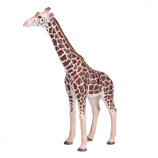 Riproduzione Realistica Giraffa Maschio