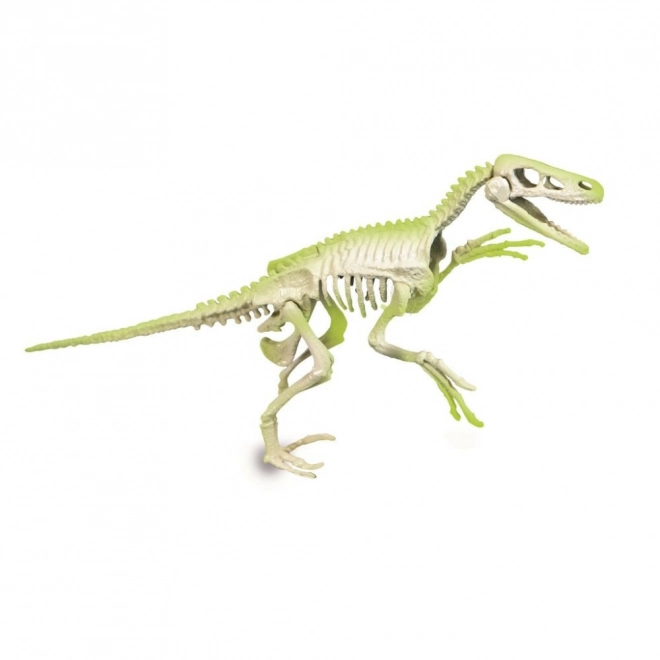 Clementoni Science&Play Archeofun: Velociraptor