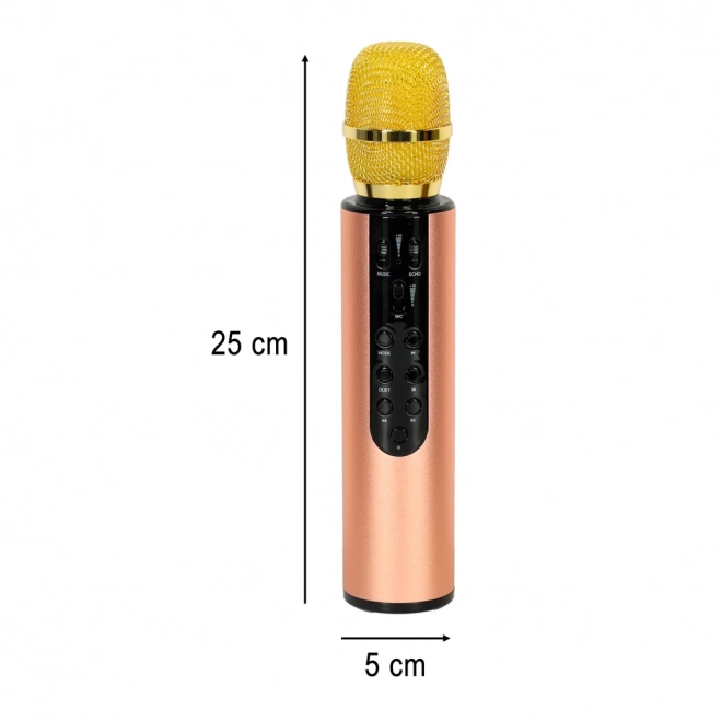 Microfono karaoke wireless Bluetooth nero – Oro