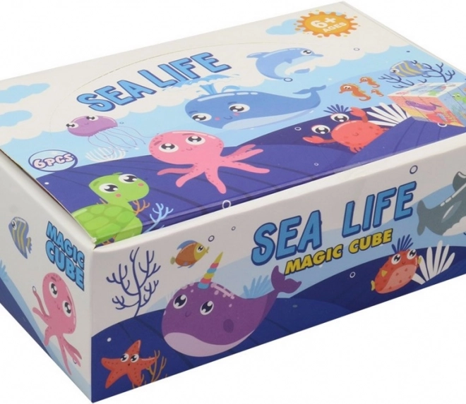Cubo magico Mondo acquatico