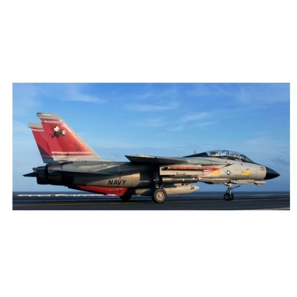 Modello Plastico F-14D Super Tomcat