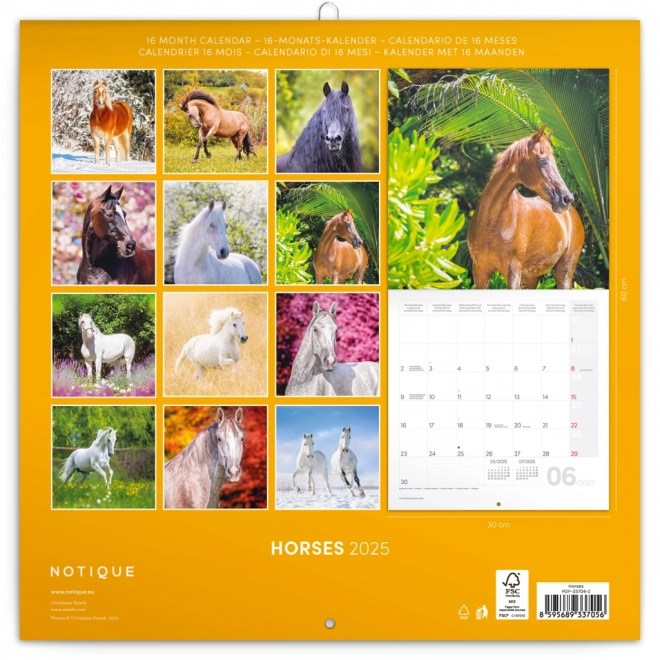 Calendario con foto di cavalli di Christiane Slawik 2025