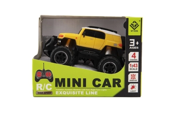 Mini SUV RC auto in plastica