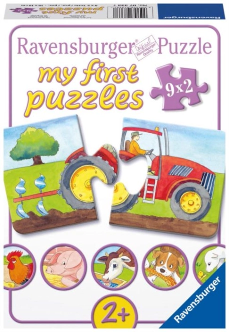 Primi puzzle per bambini dai 2 anni