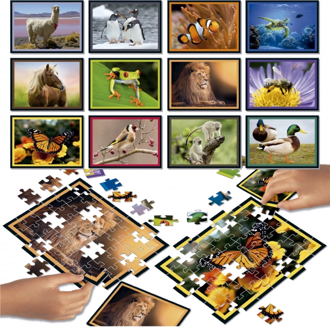 Puzzle battaglia Natura 12x42 pezzi