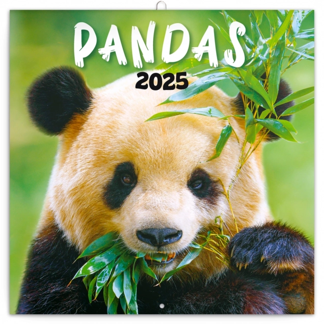 Calendario Panda da Parete 2025