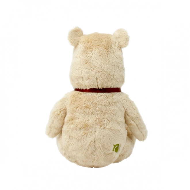 Peluche di Winnie the Pooh Arcobaleno