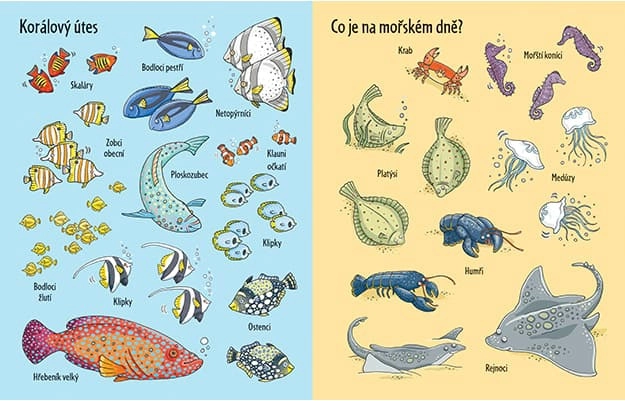 Libro adesivi Sotto la superficie