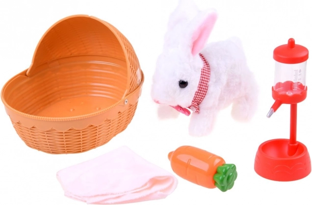 Tutto per la cura del cucciolo in un unico set