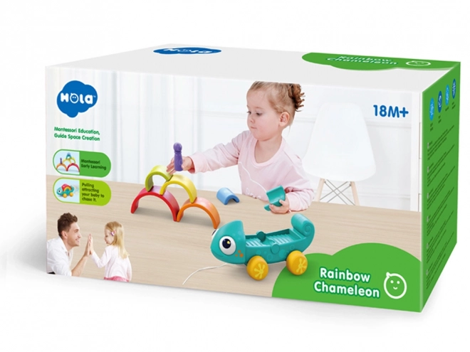 Arcobaleno Camaleonte Puzzle Montessori