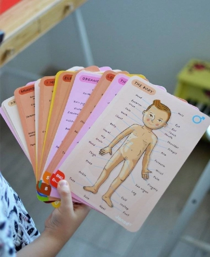 Apprendimento in 11 lingue