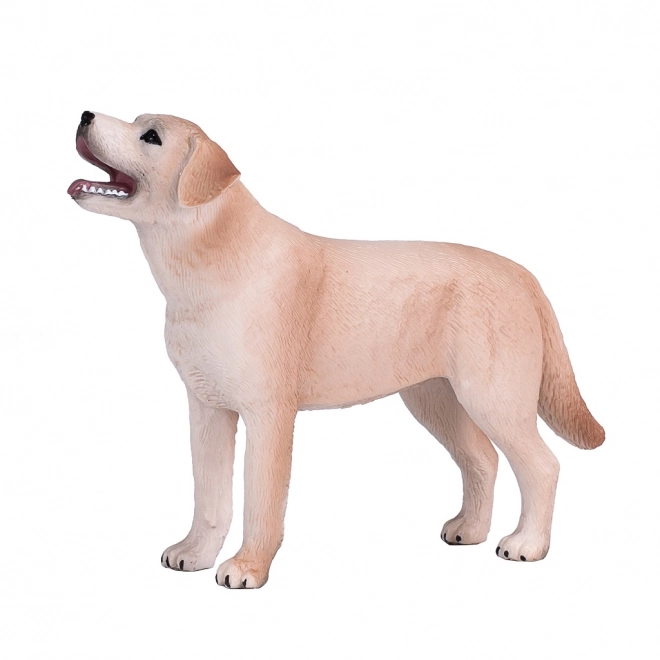 Figura realistica Labrador di Mojo