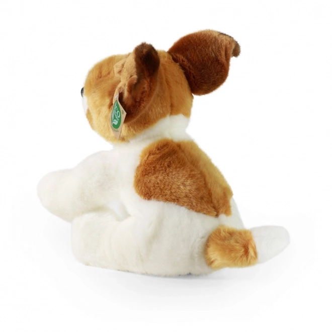 Peluche Jack Russell Terrier Seduto 26 cm
