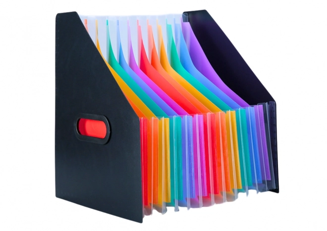 Cartella verticale organizzatore con divisori colorati nero A4