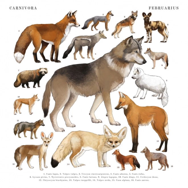 Calendario Notique Animalium 2025