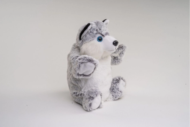 Peluches Husky Burattino 25 cm