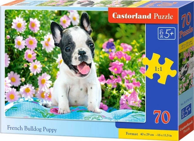 Puzzle 70 pezzi Cucciolo di Bulldog Francese