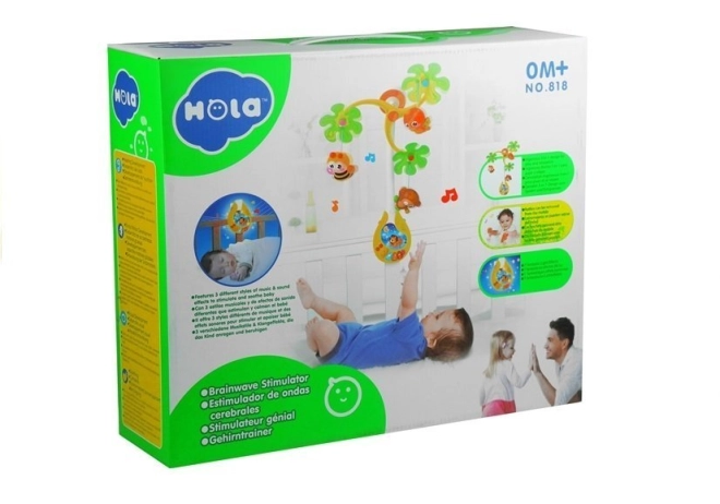 Montaggio facile e design sicuro