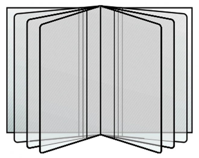 Custodia Trasparente per Documenti 80x115mm