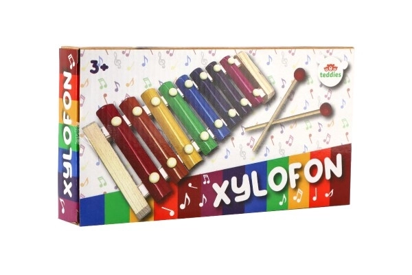 Xilofono colorato per bambini in legno e metallo