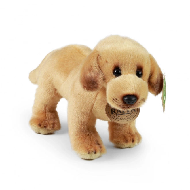 Labrador di Peluche 20 cm ECO-FRIENDLY