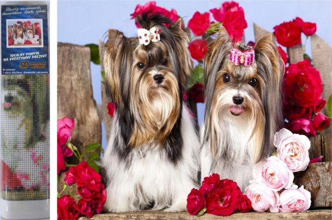 Set per pittura diamante - Yorkshire tra le rose