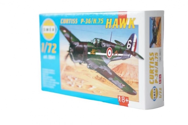 Modello Aereo Curtiss Hawk