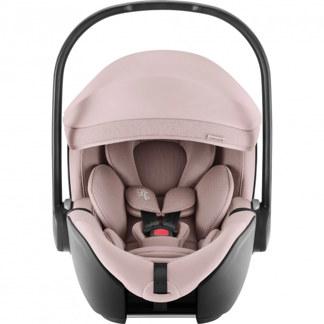 Set passeggino Smile 5Z con navicella e seggiolino auto Baby-Safe PRO Style, Dusty Rose