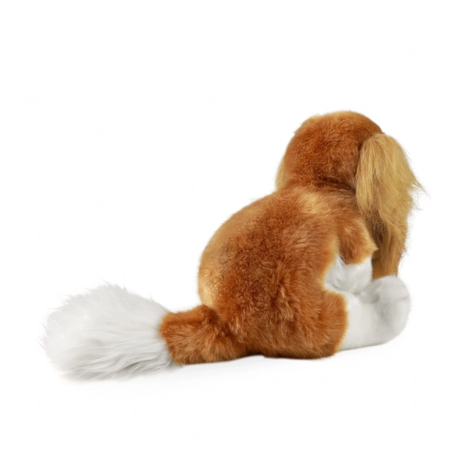 Cane di peluche Cavalier King Charles 28 cm Eco-Friendly