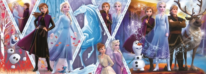 Puzzle panoramico 1000 pezzi Frozen II